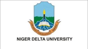 Niger delta university - petrochemical engineering 
