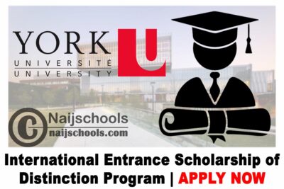York University International Entrance Scholarship of Distinction Program 2020 for International Students | APPLY NOW