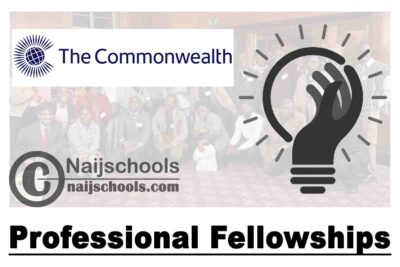 Commonwealth Professional Fellowships 2020 for Professional in their Mid-career (Funded) | APPLY NOW