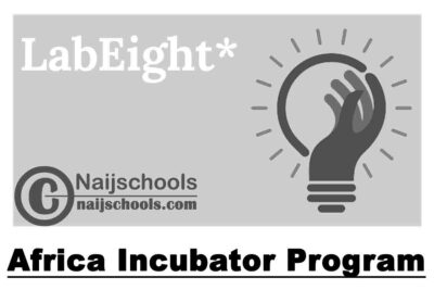 LabEight Africa Incubator Program 2020 Young Local Entrepreneurs | APPLY NOW