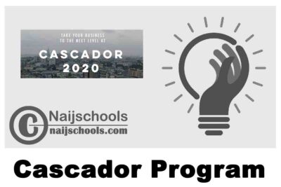 Cascador Program 2020 Form Mid Stage Nigerian Entrepreneurs | APPLY NOW