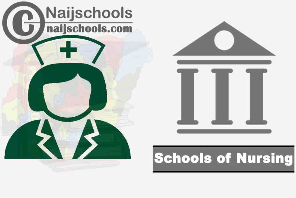 Full List of Accredited Schools of Nursing in Nigeria and their Locations