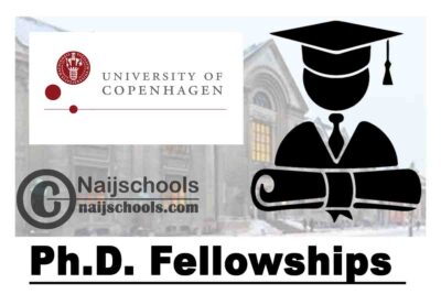 University of Copenhagen Ph.D. Fellowships 2020-2021 in Medicinal Chemistry/Chemical Biology | APPLY NOW