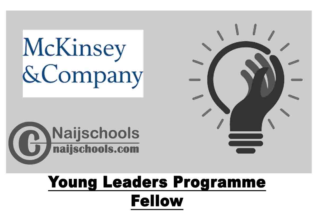 McKinsey & Company Young Leaders Programme Fellow Africa