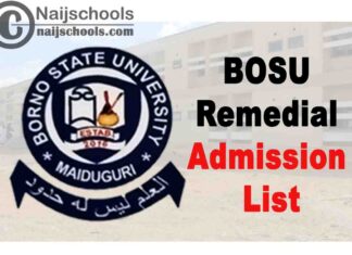 Borno State University (BOSU) First Batch Remedial Programme Admission List for 2020/2021 Academic Session | CHECK NOW