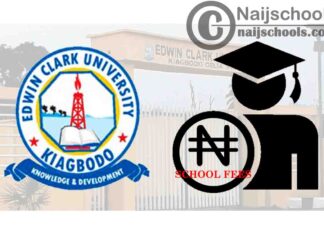 Edwin Clark University Degree and JUPEB School Fees Schedule for 2020/2021 Academic Session | CHECK NOW