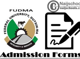Federal University Dutsin-Ma (FUDMA) Pre-Degree & Remedial Admission Forms for 2020/2021 Academic Session | APPLY NOW