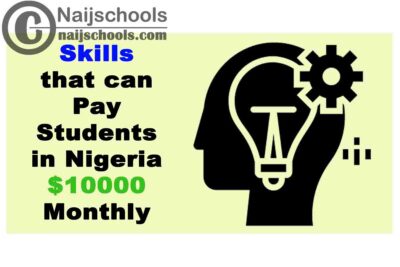 8 Hot Skills that can Pay Students in Nigeria $10,000 Monthly | No. 7 is no Doubt the Best