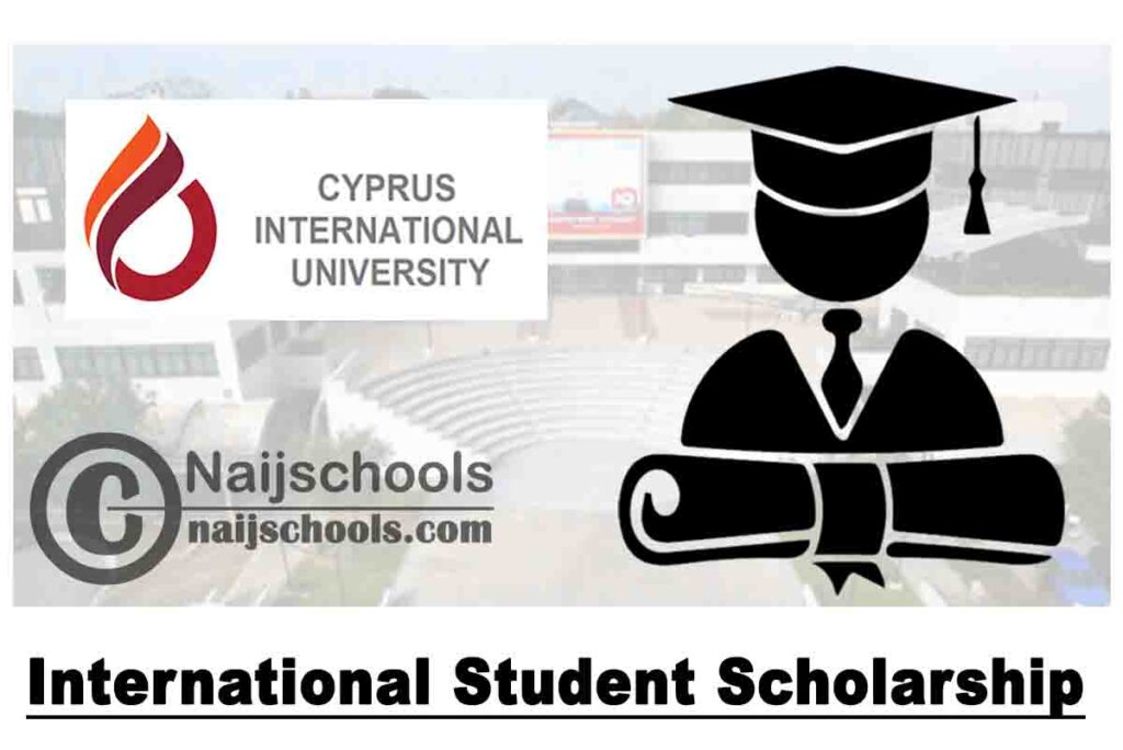 scholarship for international
