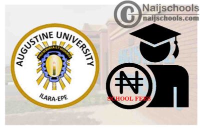 Augustine University Ilara-Epe School Fees Schedule for 2020/2021 Academic Session | CHECK NOW