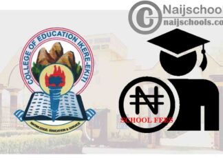 College of Education (COE) Ikere-Ekiti School Fees Payment Procedure for 2019/2020 Academic Session | CHECK NOW