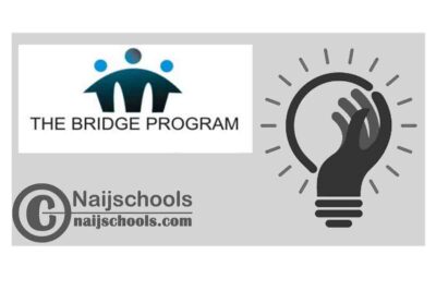 The Bridge Fellowship Programme 2021 (Nigerians Only) | APPLY NOW