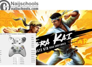 Cobra Kai: The Karate Kid Saga Continues X360ce Settings for Any PC Gamepad Controller | TESTED AND WORKING