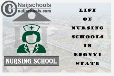 Complete List of Accredited Nursing Schools in Ebonyi State Nigeria