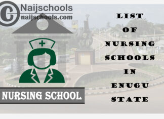Complete List of Accredited Nursing Schools in Enugu State Nigeria