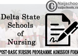 Delta State Schools of Nursing Post-Basic Nursing Programme Admission Form for 2021/2022 Academic Session | APPLY NOW