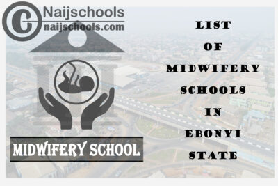 Full List of Accredited Midwifery Schools in Ebonyi State Nigeria