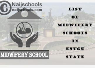 Full List of Accredited Midwifery Schools in Enugu State Nigeria
