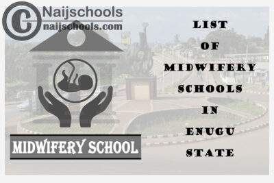 Full List of Accredited Midwifery Schools in Enugu State Nigeria