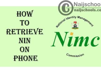 How to Retrieve Your Nigerian National Identity Number (NIN) on Your Phone