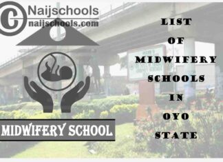 Full List of Accredited Midwifery Schools in Oyo State Nigeria