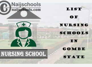 Complete List of Accredited Nursing Schools in Gombe State Nigeria