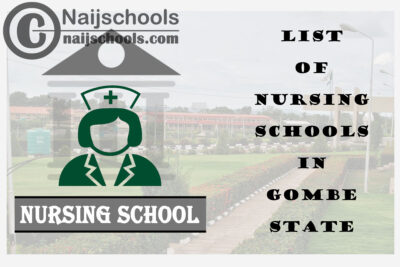 Complete List of Accredited Nursing Schools in Gombe State Nigeria