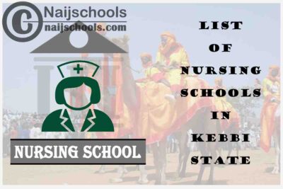 Complete List of Accredited Nursing Schools in Kebbi State Nigeria