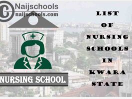 Complete List of Accredited Nursing Schools in Kwara State Nigeria