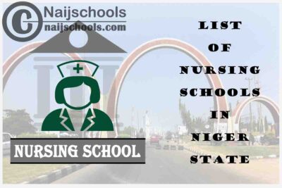 Complete List of Accredited Nursing Schools in Niger State Nigeria