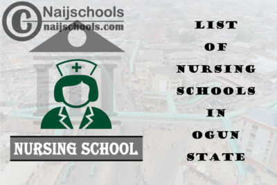 Complete List of Accredited Nursing Schools in Ogun State Nigeria