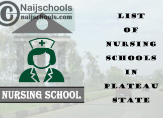 Complete List of Accredited Nursing Schools in Plateau State Nigeria