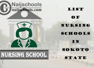 Complete List of Accredited Nursing Schools in Sokoto State Nigeria