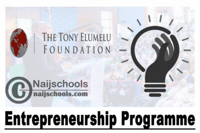 Tony Elumelu Foundation Entrepreneurship Programme 2021 For African Entrepreneurs | APPLY NOW