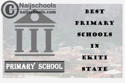 11 of the Best Primary Schools to Attend in Delta State Nigeria | No. 7’s Top-Notch