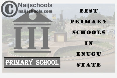 11 of the Best Primary Schools to Attend in Enugu State Nigeria | No. 8’s Top-Notch