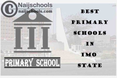 11 of the Best Primary Schools to Attend in Imo State Nigeria | No. 5’s Top-Notch
