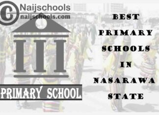 11 of the Best Primary Schools to Attend in Nasarawa State Nigeria | No. 7’s Top-Notch
