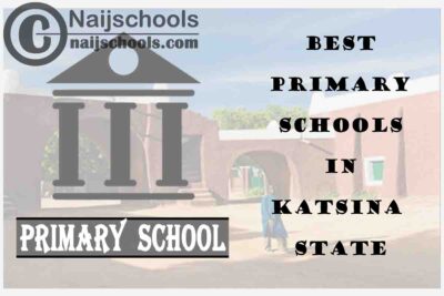 11 of the Best Primary Schools to Attend in Katsina State Nigeria | No. 9’s Top-Notch