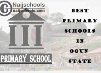 11 of the Best Primary Schools to Attend in Ogun State Nigeria | No. 7’s Top-Notch