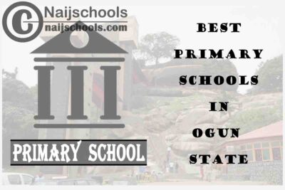 11 of the Best Primary Schools to Attend in Ogun State Nigeria | No. 7’s Top-Notch