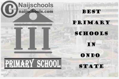 11 of the Best Primary Schools to Attend in Ondo State Nigeria | No. 7’s Top-Notch