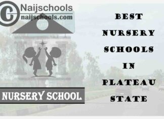 11 of the Best Nursery Schools in Plateau State Nigeria | No. 10’s the Best