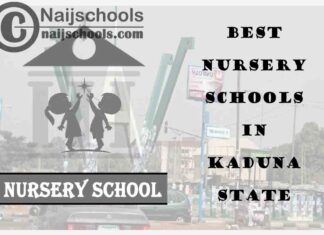 11 of the Best Nursery Schools in kaduna State Nigeria | No. 6’s the Best