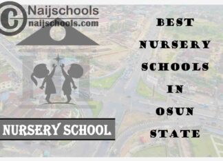 11 of the Best Nursery Schools in Oyo State Nigeria | No. 5’s the Best