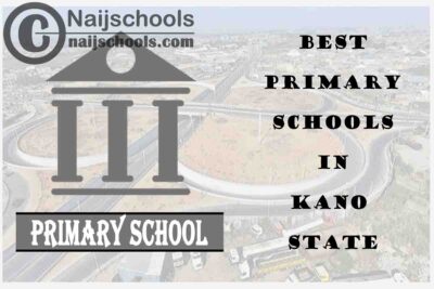 11 of the Best Primary Schools to Attend in Kano State Nigeria | No. 3’s Top-Notch