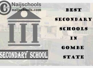 15 of the Best Secondary Schools to Attend in Gombe State Nigeria | No. 7’s the Best