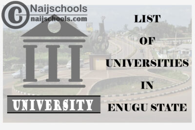 Full List of Federal, State & Private Universities in Enugu State Nigeria
