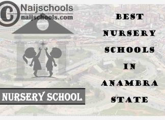 11 of the Best Nursery Schools in Anambra State Nigeria | No. 5’s the Best