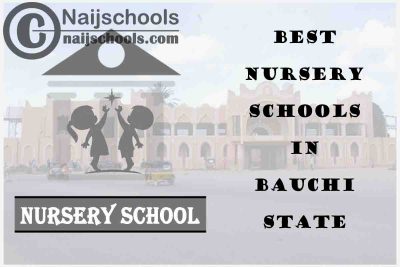 11 of the Best Nursery Schools in Anambra State Nigeria | No. 9’s the Best